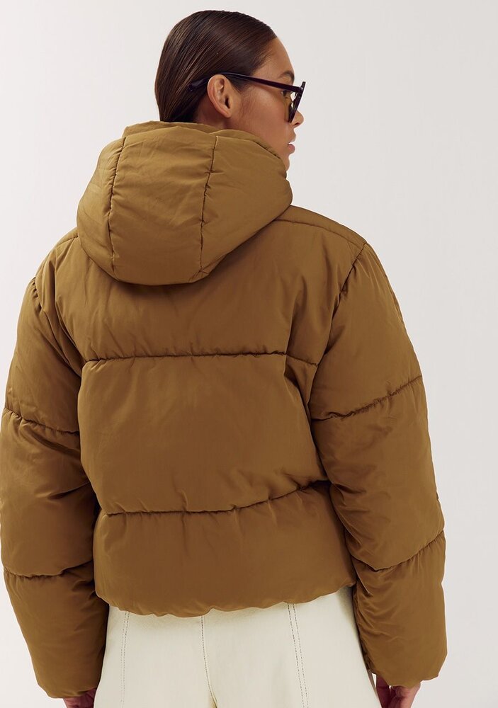 Harper & Yve Jack || Ibby - ja || New Olive