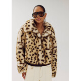 Harper & Yve Jack || Stacy-ja || Wild Lexie Leopard Harper & Yve Jack || Stacy-ja || Wild Lexie Leopard