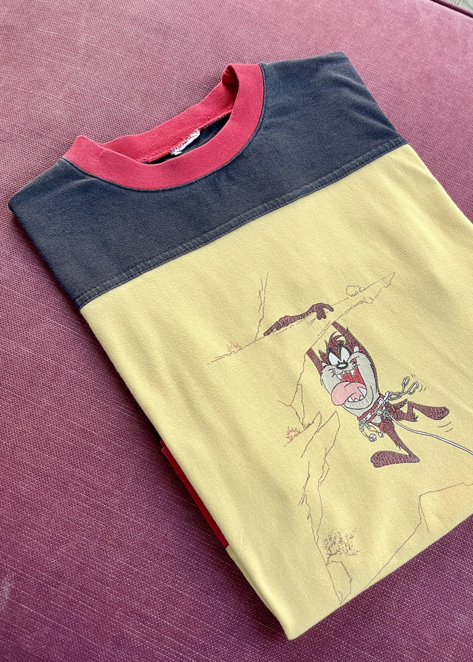 Vintage Taz Shirt 6y