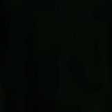 Falke heren compressie skisokken met wol sk