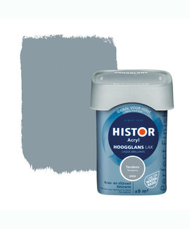 Histor Histor Perfect Finish Lak Acryl Tendens 6906 Hoogglans 750 ml