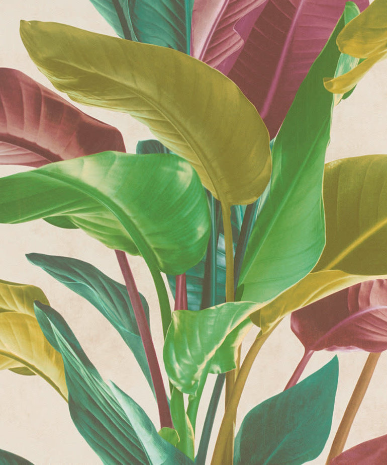 AS Creation Metropolitan Stories 2 37862-1