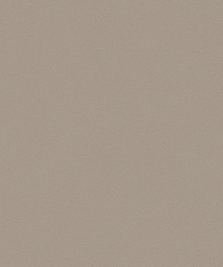 AS Creation  Meistervlies Die Glatte Wand 3095-25