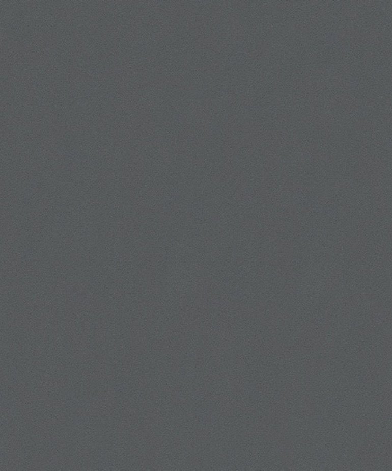 AS Creation  Meistervlies Die Glatte Wand 3095-49