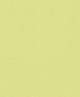 AS Creation  Meistervlies Die Glatte Wand 3095-56