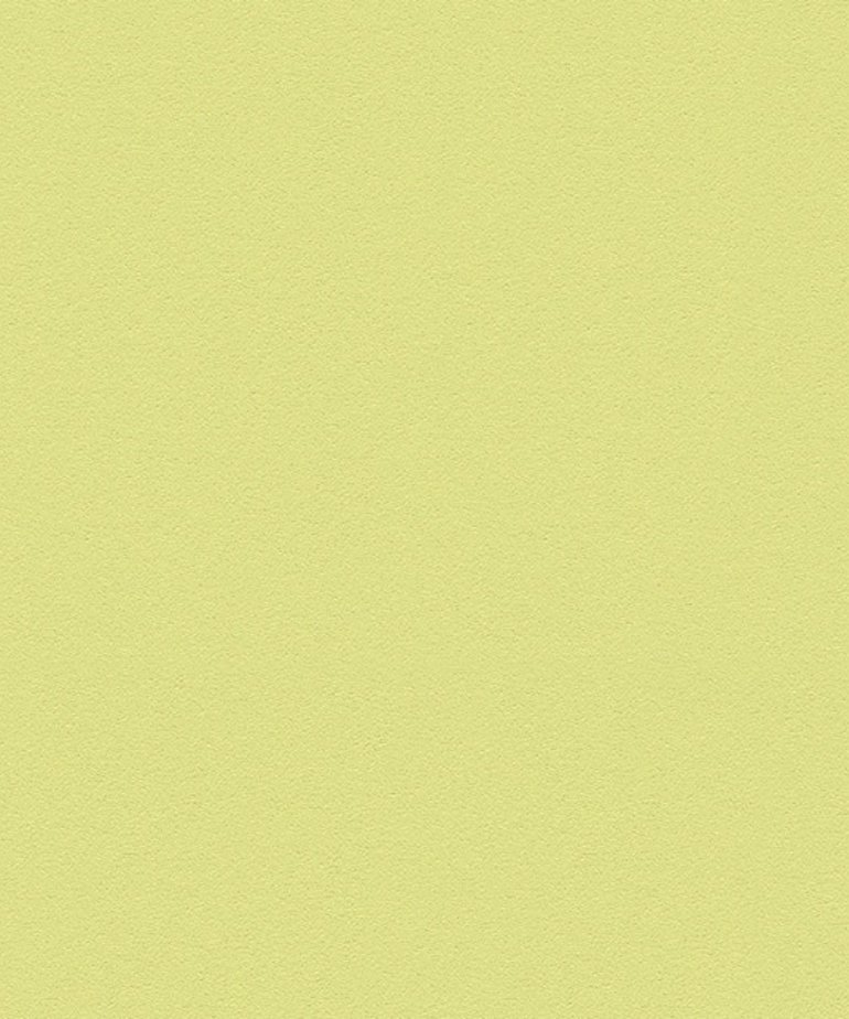 AS Creation  Meistervlies Die Glatte Wand 3095-56