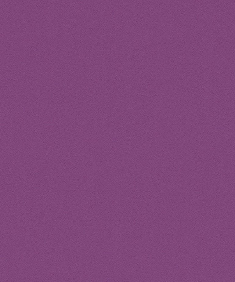 AS Creation  Meistervlies Die Glatte Wand 3095-70