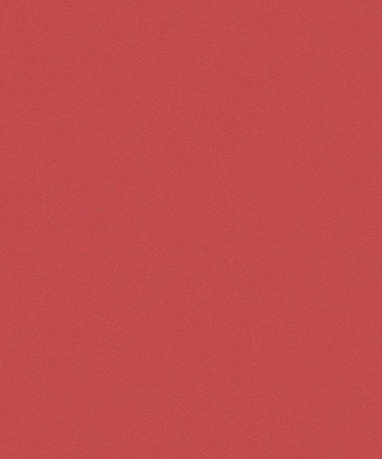 AS Creation  Meistervlies Die Glatte Wand 3095-94