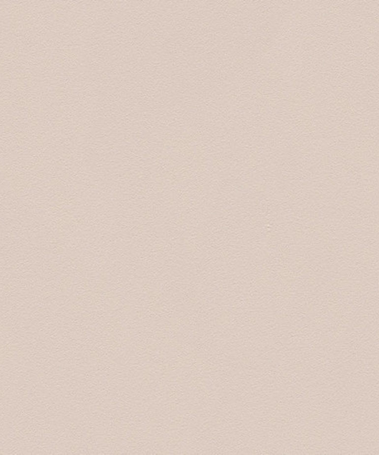AS Creation  Meistervlies Die Glatte Wand 3091-50