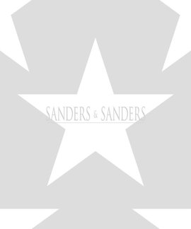 Sanders & Sanders Trends & More Behang nr. 935257