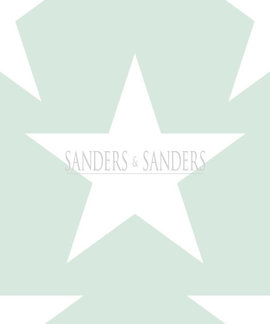 Sanders&Sanders Sanders & Sanders Trends & More Behang nr. 935258