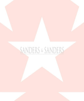 Sanders&Sanders Sanders & Sanders Trends & More Behang nr. 935259