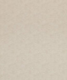BN  Indian Summer 218577