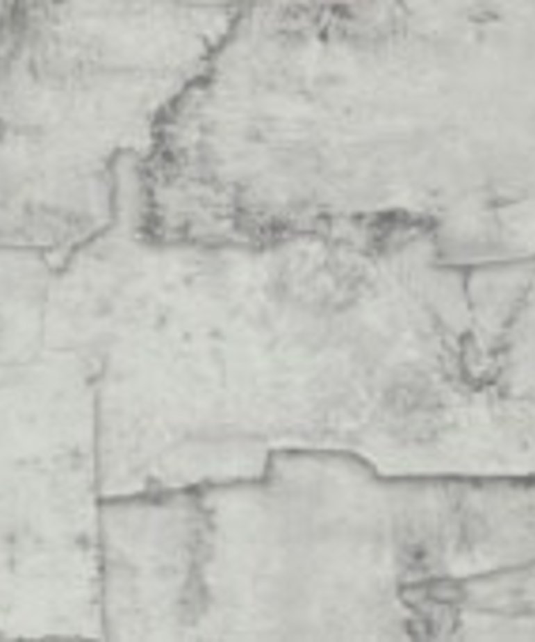 BN More than Elements Steen Behang 49763