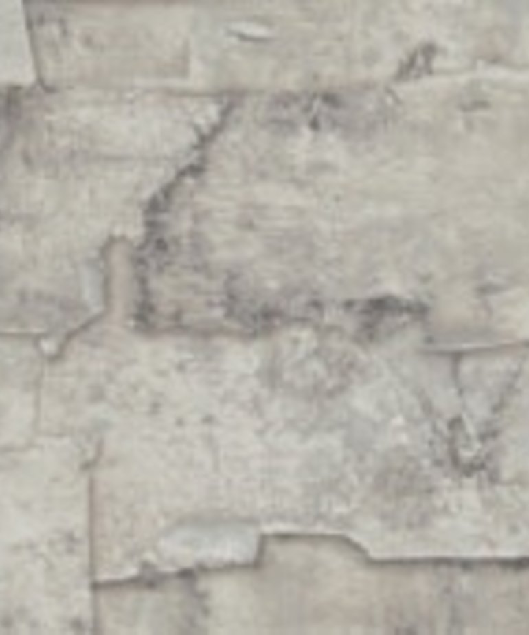 BN More than Elements Steen Behang 49761