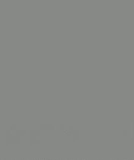 AS Creation Meistervlies Die Glatte Wand 3091-43