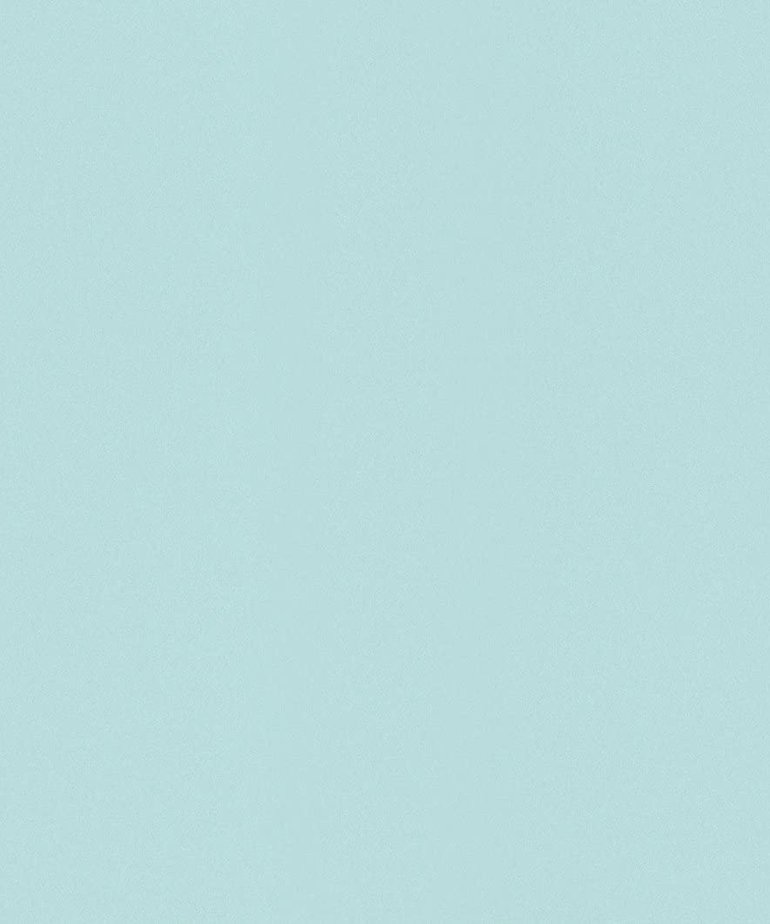 Rasch Uni Behang 515657