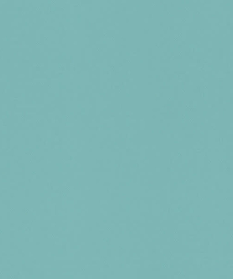 Rasch Uni Behang 515671