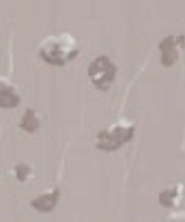 Noordwand Assorti 68600