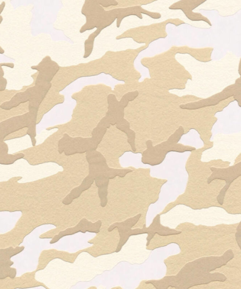 AS Creation  Boys & Girls  Camouflage Behang 3694-20