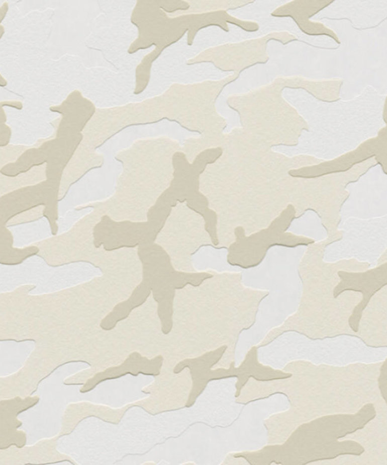 AS Creation  Boys & Girls Camouflage Behang 3694-13
