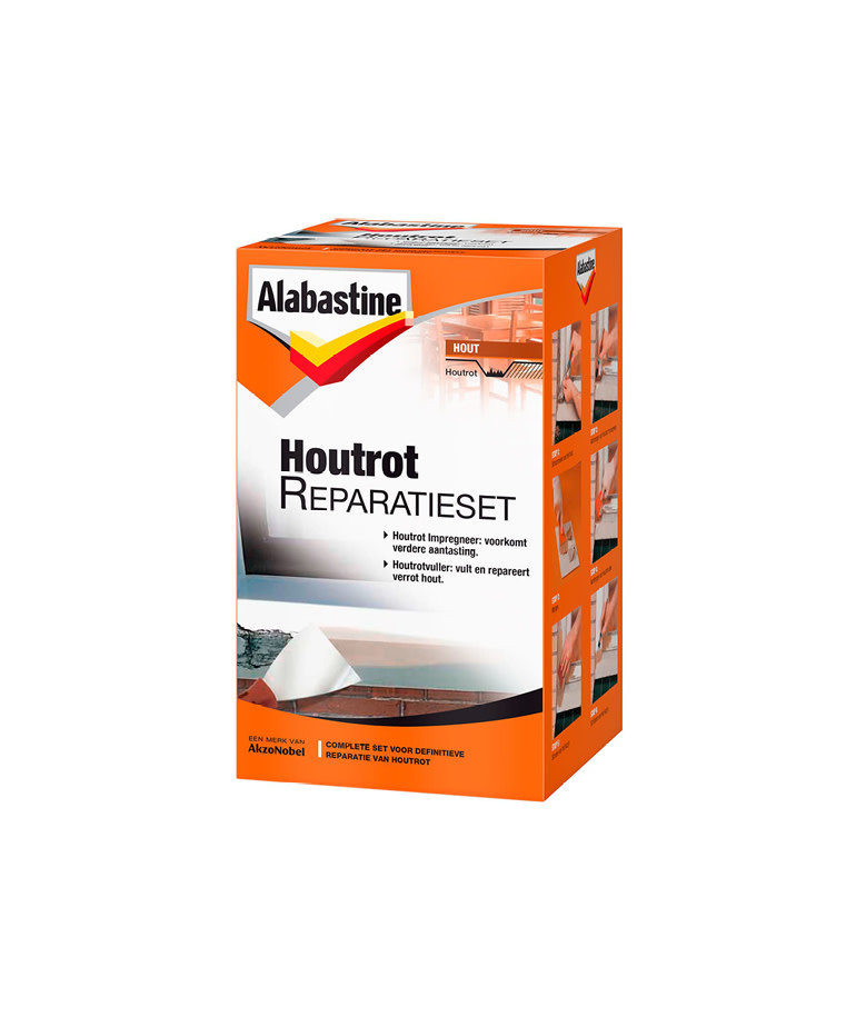 Alabastine Houtrot Reparatieset 500 gram