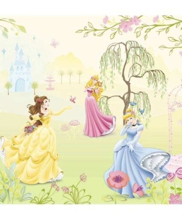 Disney Princess Garden 1-417 - Verf en behangland