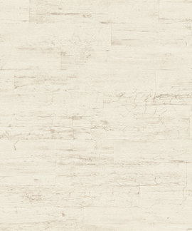 Rasch Curiosity 537000