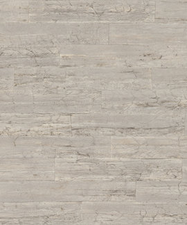 Rasch Curiosity 537024