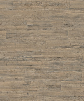 Rasch Curiosity 537031