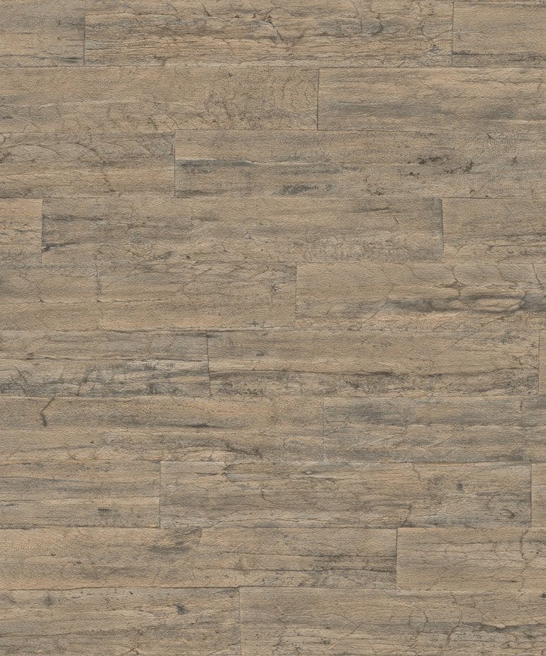 Rasch Curiosity 537031