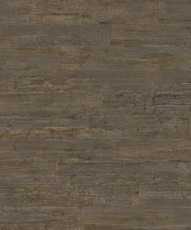 Rasch Curiosity 537055