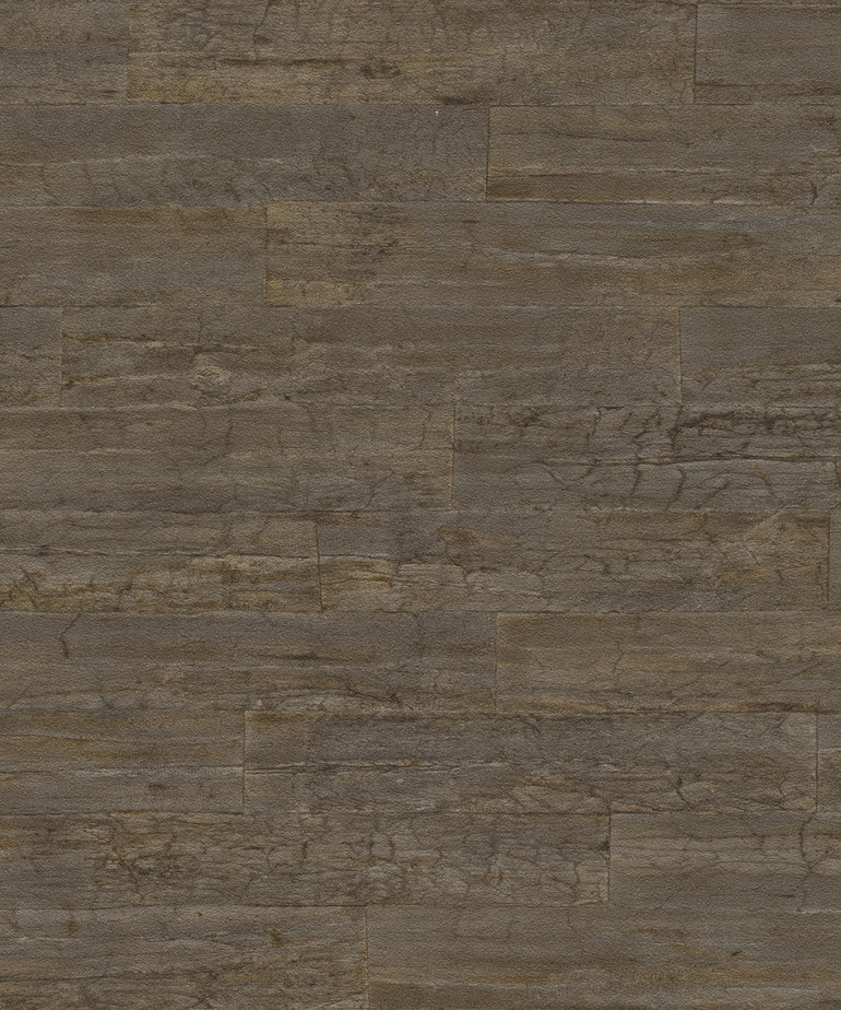 Rasch Curiosity 537055