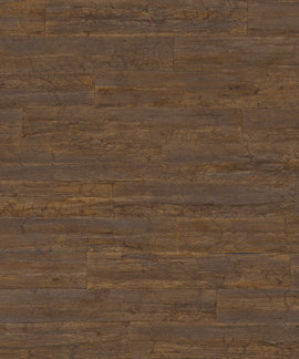 Rasch Curiosity 537062