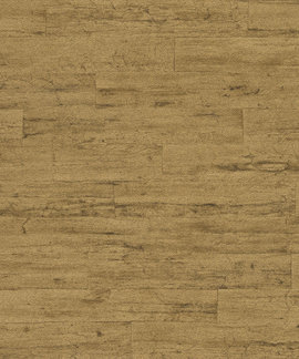 Rasch Curiosity 537079