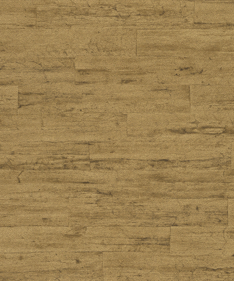 Rasch Curiosity 537079