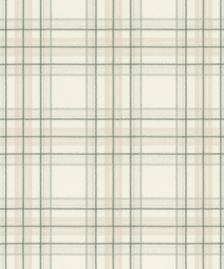 Rasch Curiosity 537437