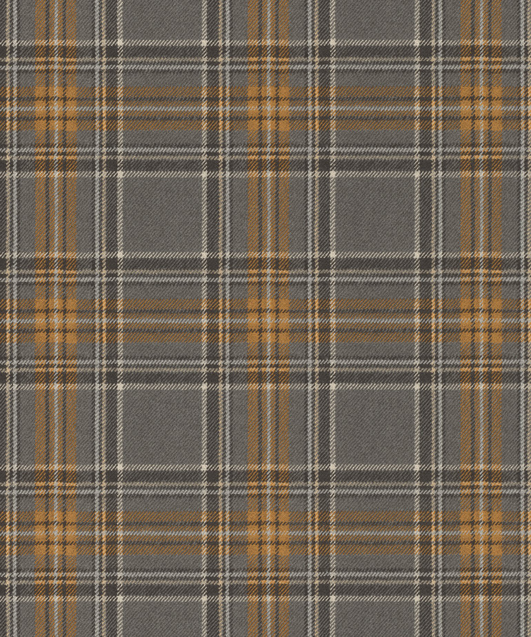 Rasch Curiosity 537451