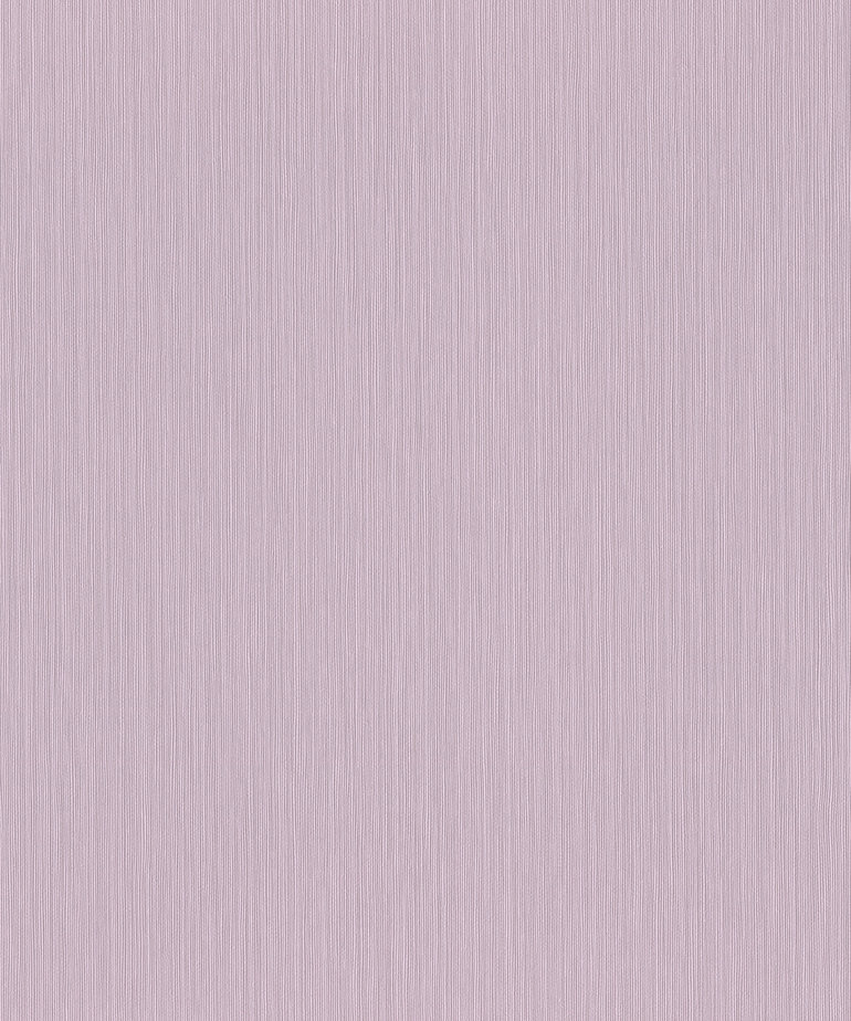 Rasch Curiosity 537642