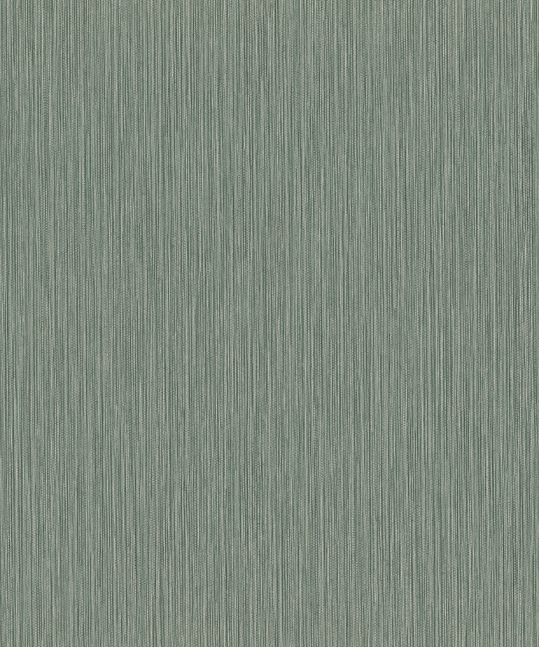 Rasch Curiosity 537666