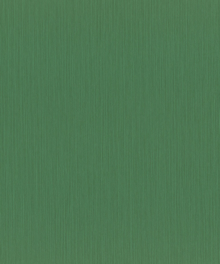 Rasch Curiosity 537673