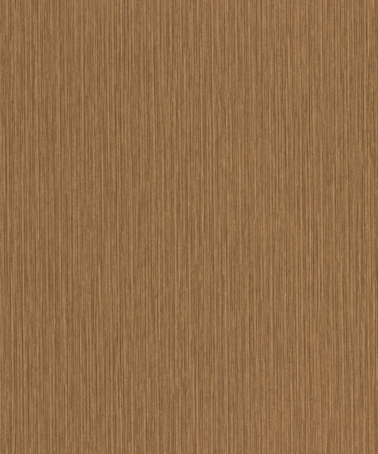 Rasch Curiosity 537734