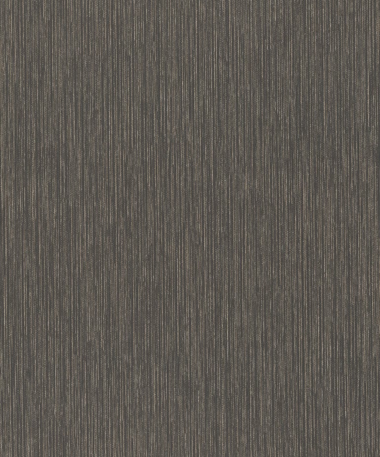 Rasch Curiosity 537741