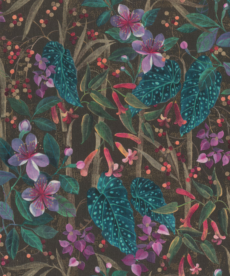 Rasch Curiosity 538236