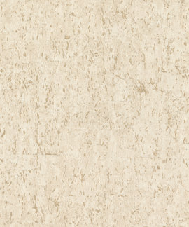 Rasch Curiosity 538328