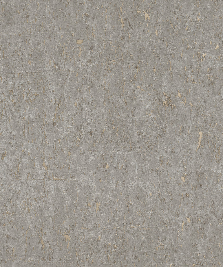 Rasch Curiosity 538335