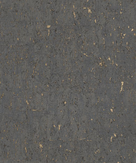 Rasch Curiosity 538359