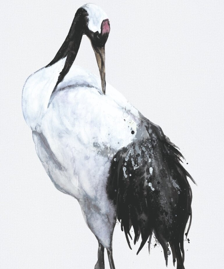 Marburg Kumano 34594