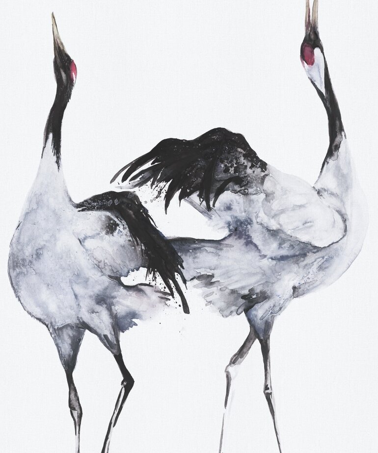 Marburg Kumano 34595 Wit - Zwart