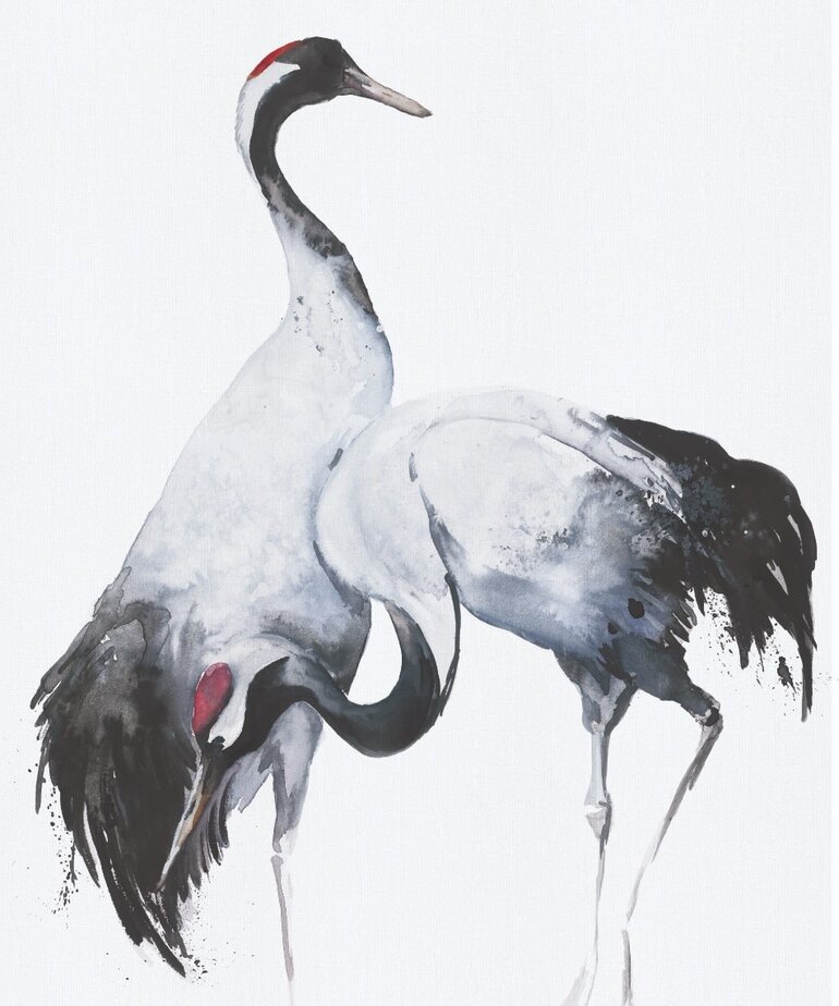 Marburg Kumano 34596